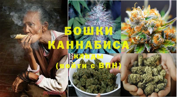 PSILOCYBIN Алапаевск